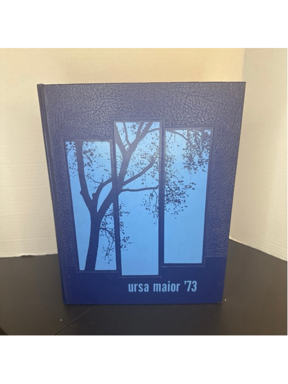1973 Branham High School Yearbook (San Jose California CA)